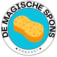 De Magische Spons